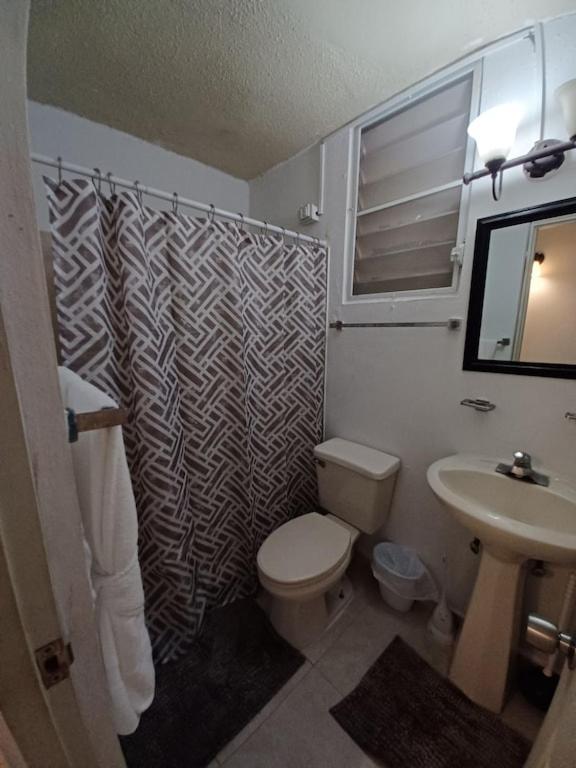 Family House Rain Forest And Beaches Pet Friendly Rio Grande Ngoại thất bức ảnh